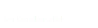  Seh-Dong-Hong-Beh