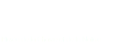  Musée de la Chasse et de la Nature